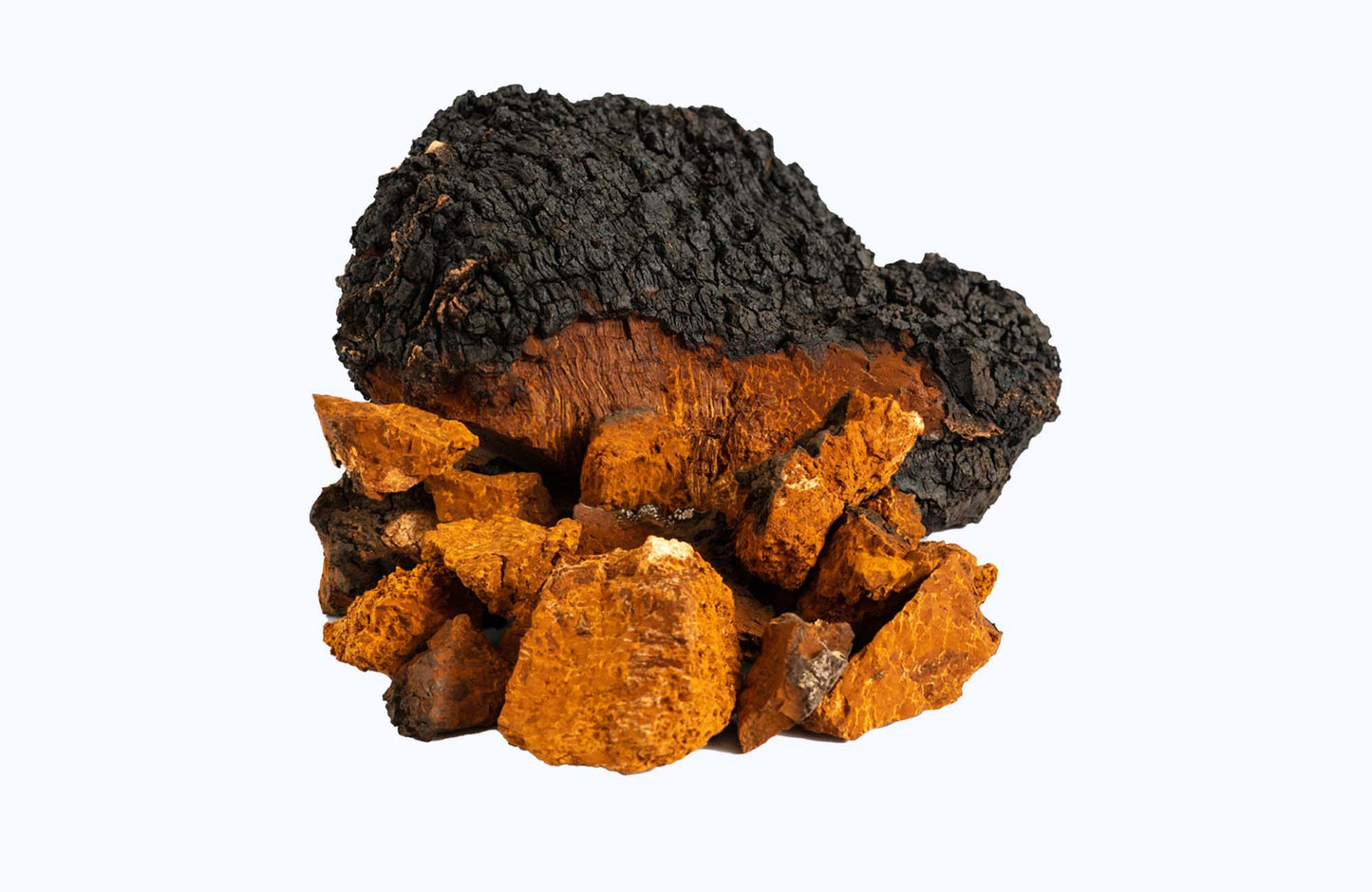 CHAGA