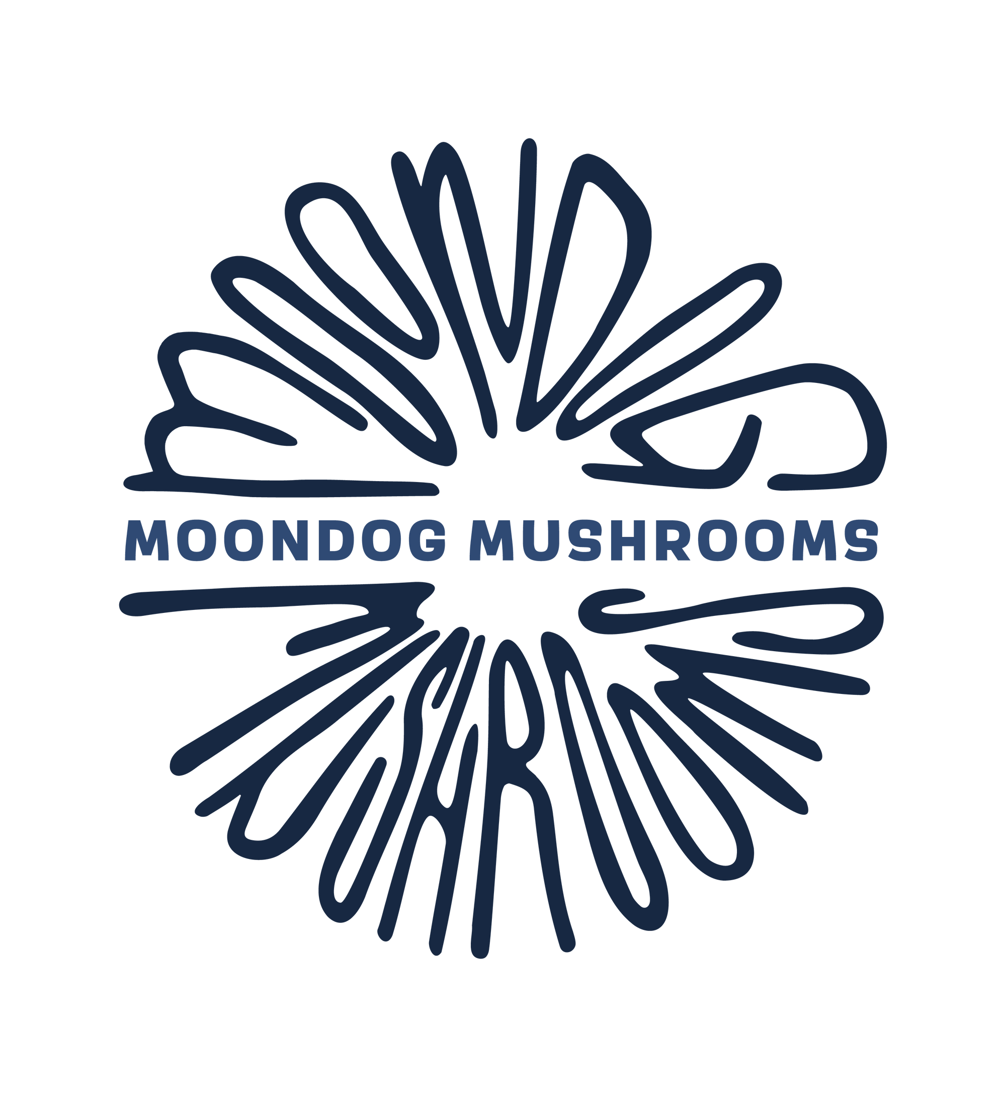 OUR MUSHROOMS