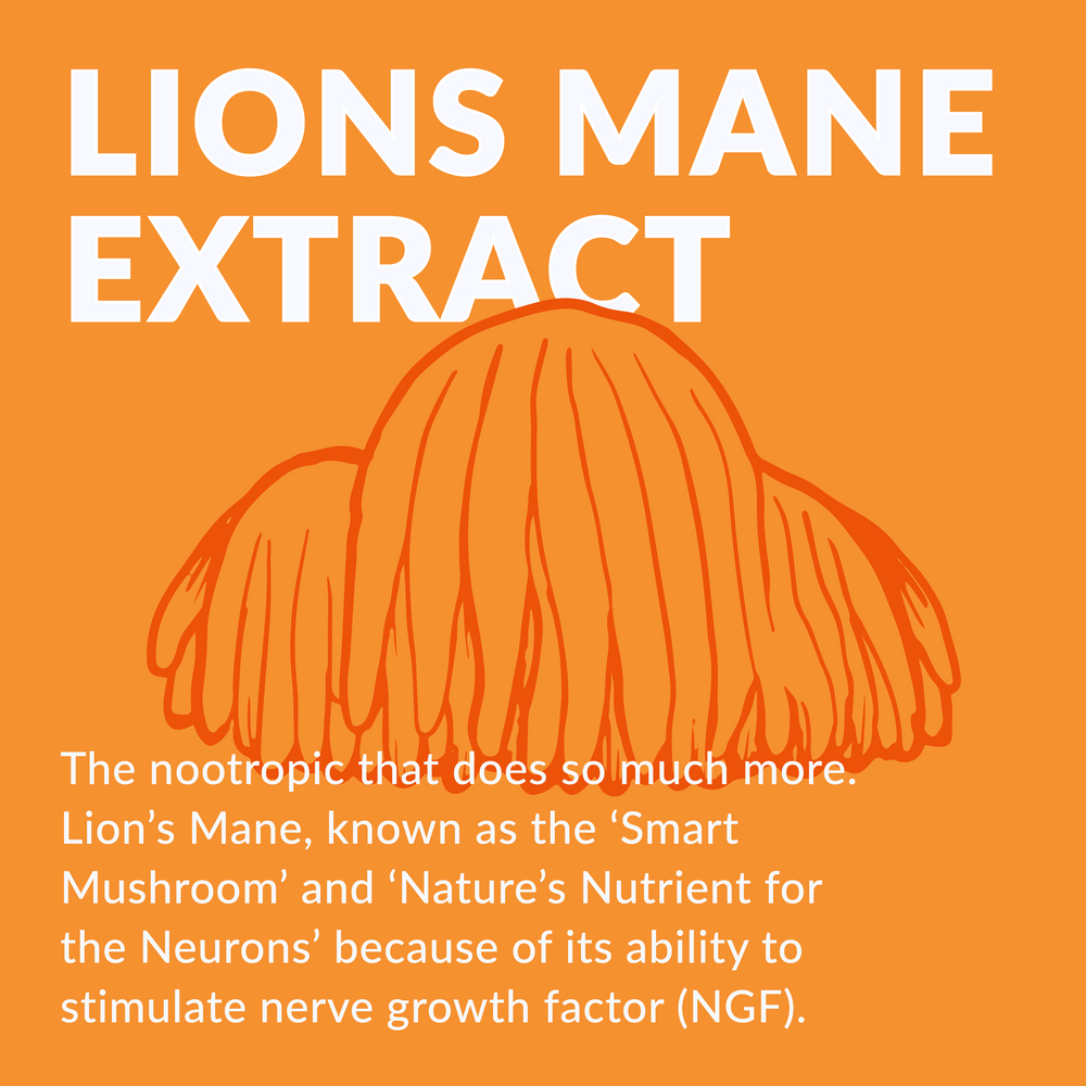 
                  
                    Lion’s Mane Mushroom Extract
                  
                