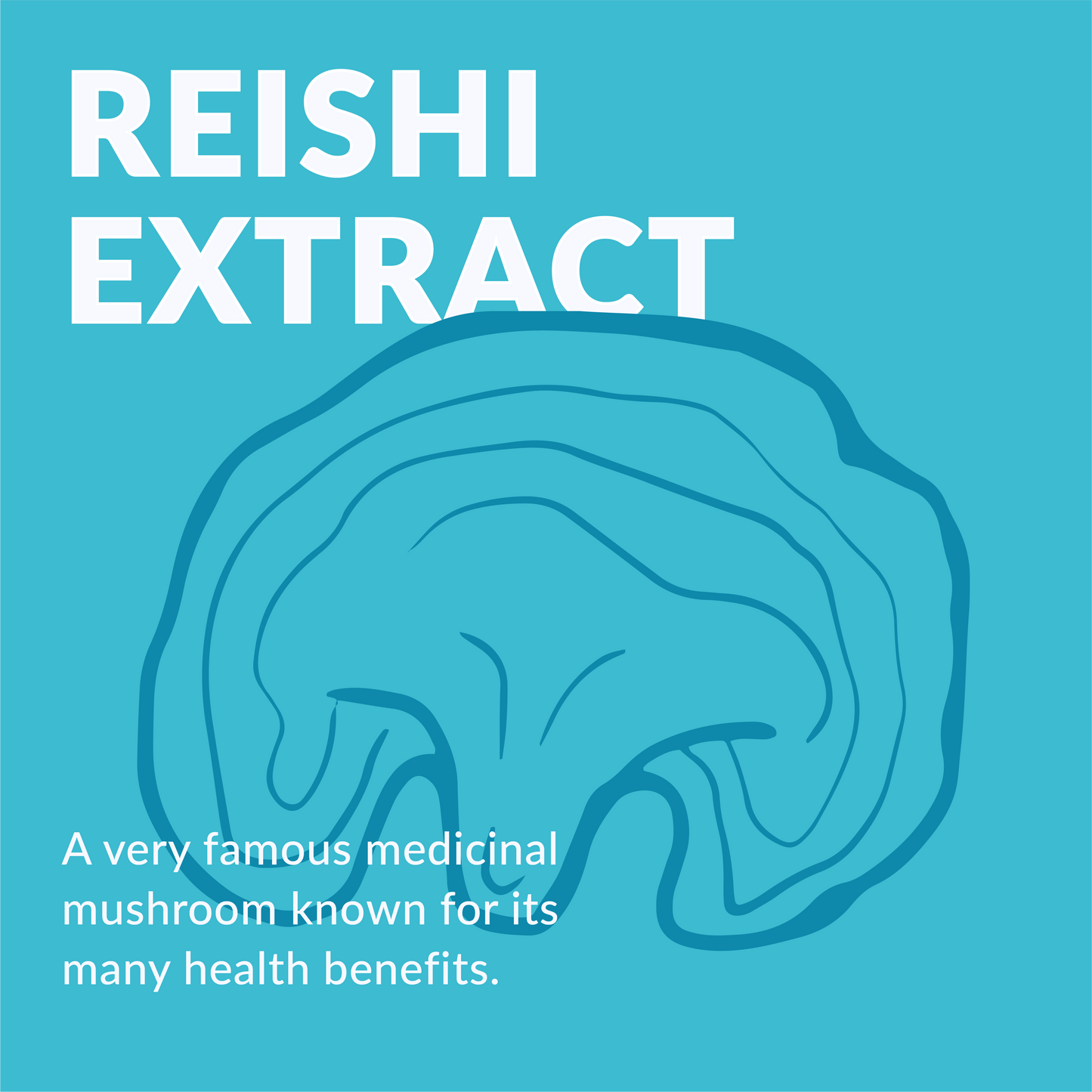 
                  
                    Reishi Mushroom Extract
                  
                